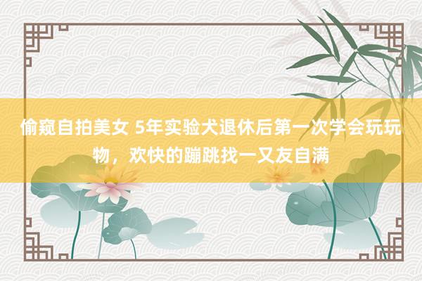偷窥自拍美女 5年实验犬退休后第一次学会玩玩物，欢快的蹦跳找一又友自满