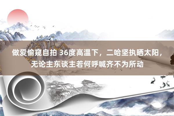 做爱偷窥自拍 36度高温下，二哈坚执晒太阳，无论主东谈主若何呼喊齐不为所动