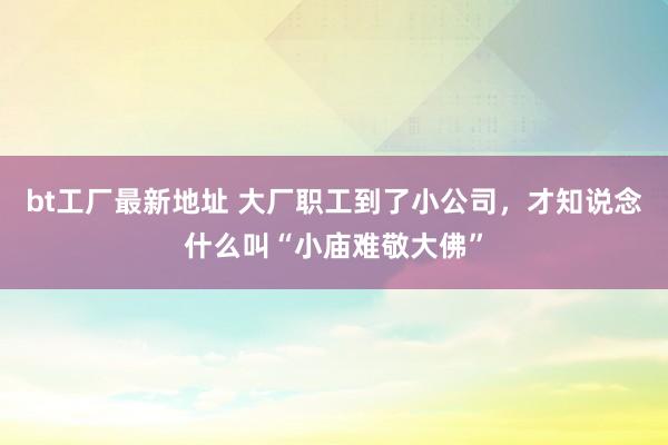 bt工厂最新地址 大厂职工到了小公司，才知说念什么叫“小庙难敬大佛”