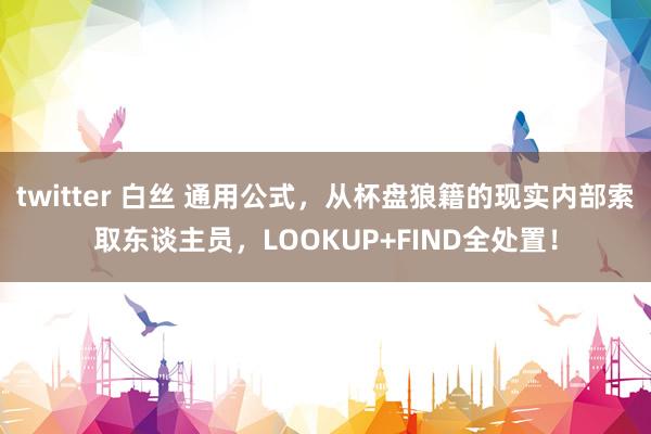twitter 白丝 通用公式，从杯盘狼籍的现实内部索取东谈主员，LOOKUP+FIND全处置！