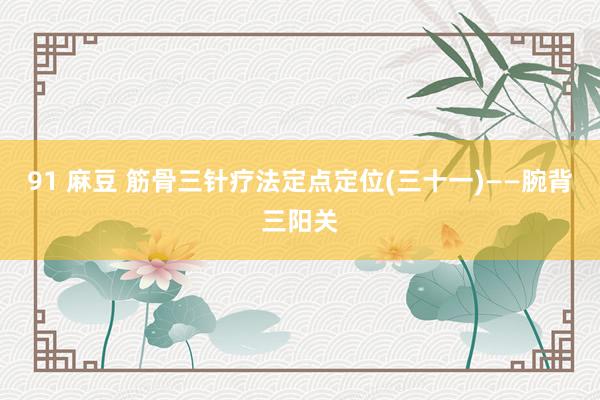 91 麻豆 筋骨三针疗法定点定位(三十一)——腕背三阳关