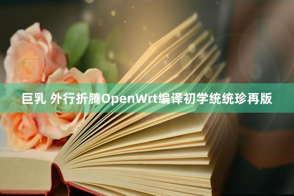 巨乳 外行折腾OpenWrt编译初学统统珍再版