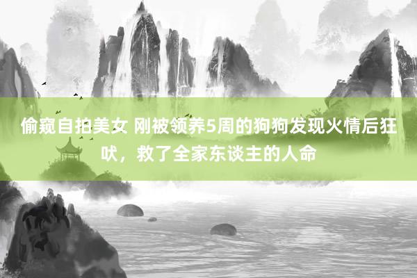 偷窥自拍美女 刚被领养5周的狗狗发现火情后狂吠，救了全家东谈主的人命