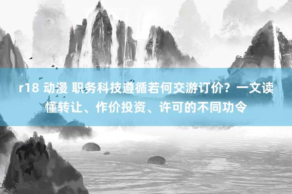 r18 动漫 职务科技遵循若何交游订价？一文读懂转让、作价投资、许可的不同功令