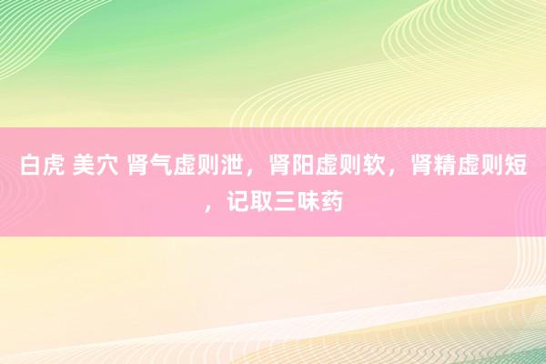 白虎 美穴 肾气虚则泄，肾阳虚则软，肾精虚则短，记取三味药