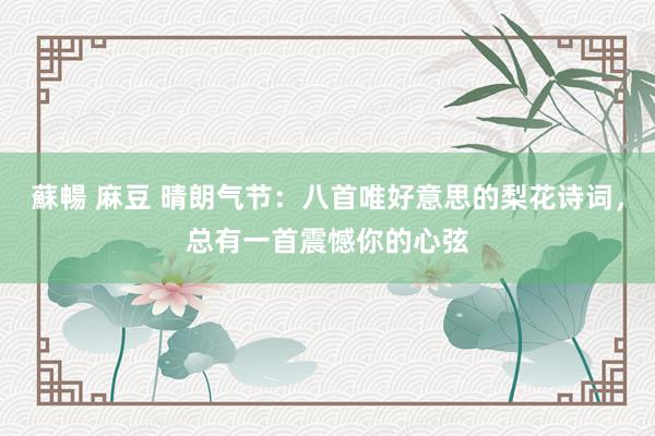 蘇暢 麻豆 晴朗气节：八首唯好意思的梨花诗词，总有一首震憾你的心弦